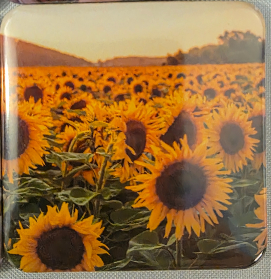 2x2 Personalized Photo Magnets ( set of 9 )